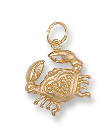 9ct Yellow Gold Cancer Zodiac Pendant